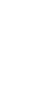 Лого Мультисистема